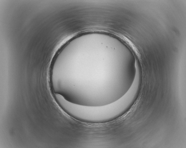 X0000115611285200912080955