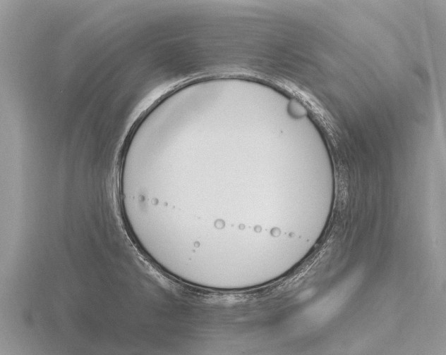 X0000115611286200912080955