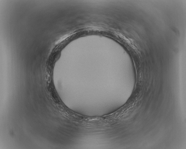 X0000115611303200912080954