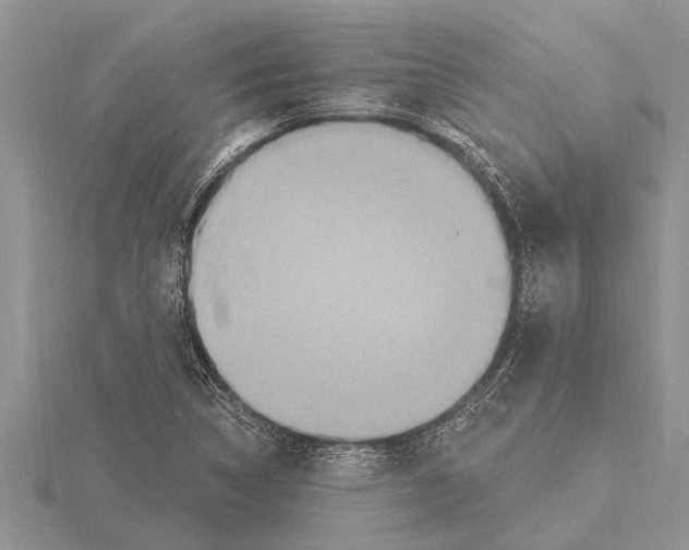X0000115611314200912080954