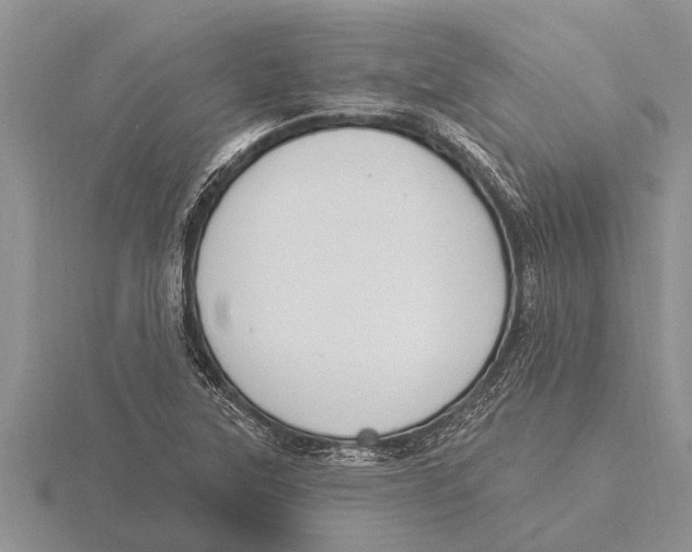 X0000115611315200912080954