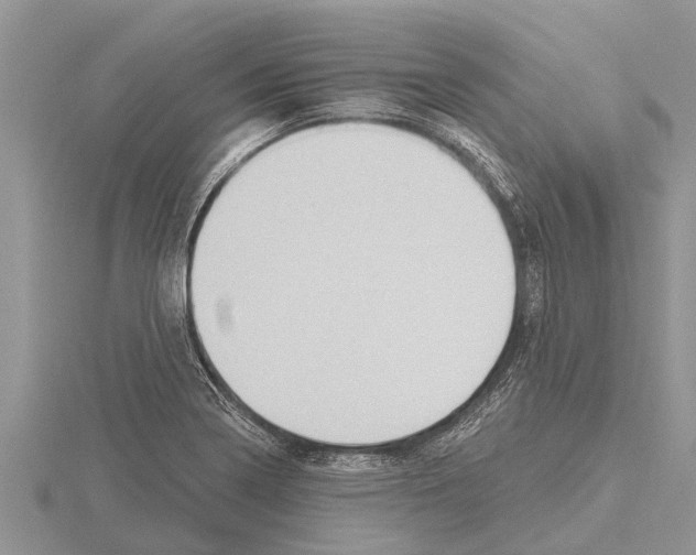 X0000115611322200912080954