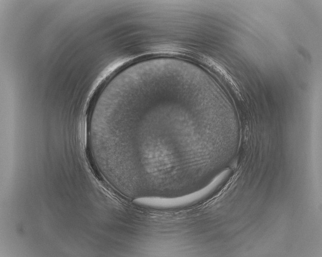 X0000115611323200912080954