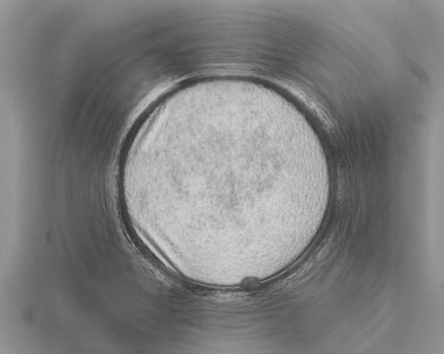 X0000115611325200912080954
