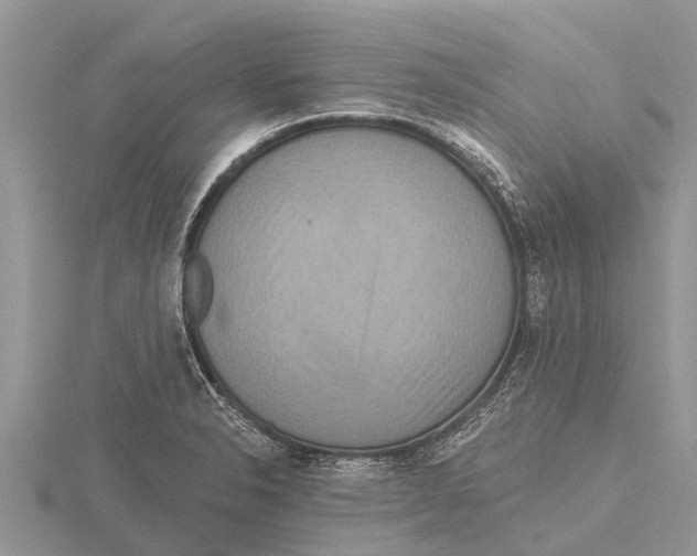 X0000115611326200912080954