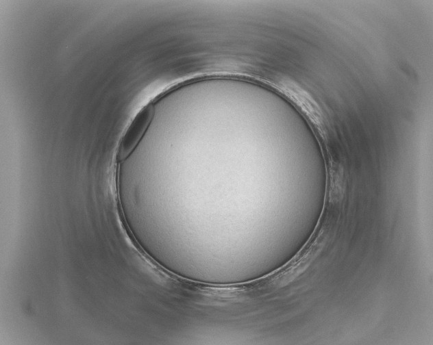 X0000115611342200912080954