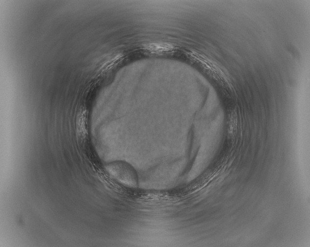 X0000115611346200912080954