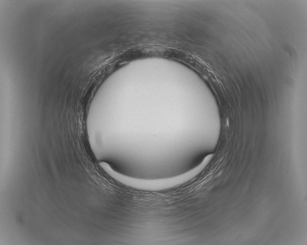X0000115611348200912080954