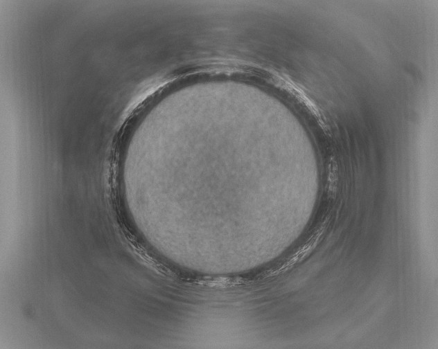 X0000115611352200912080954