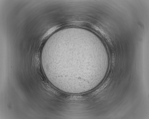 X0000115611354200912080954