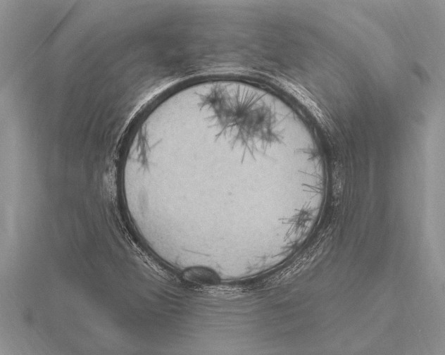 X0000115611356200912080954