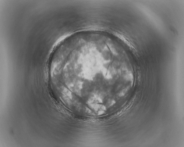 X0000115611358200912080954