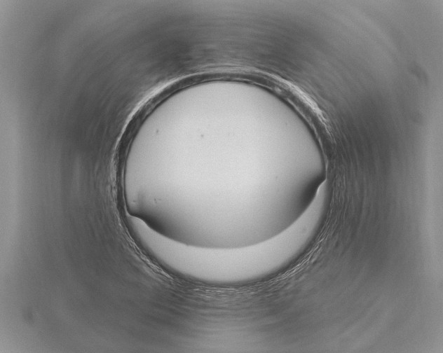 X0000115611364200912080954