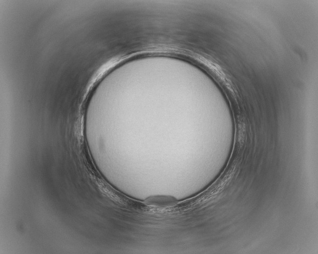 X0000115611366200912080953