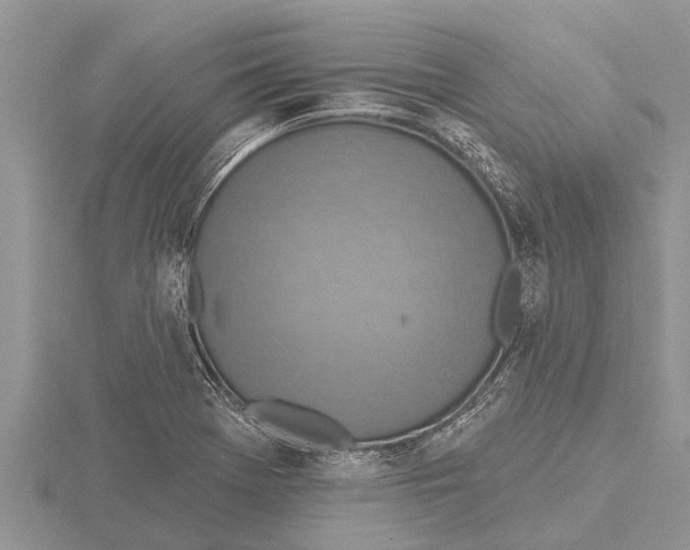X0000115611369200912080953