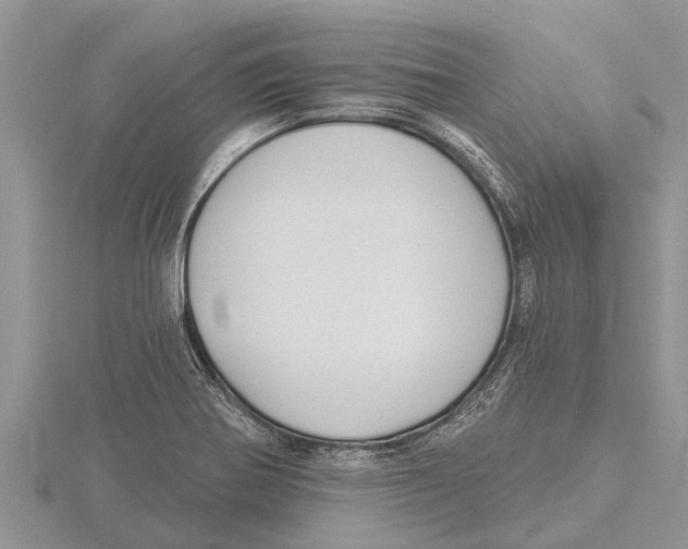 X0000115611370200912080953