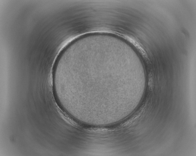 X0000115611372200912080953