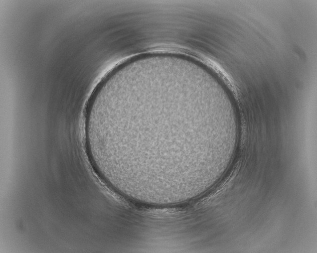 X0000115611376200912080953