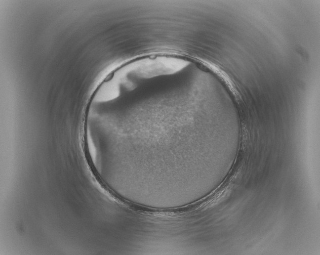 X0000115611383200912080953