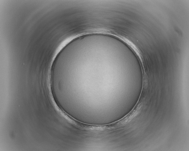 X0000115611389200912080953
