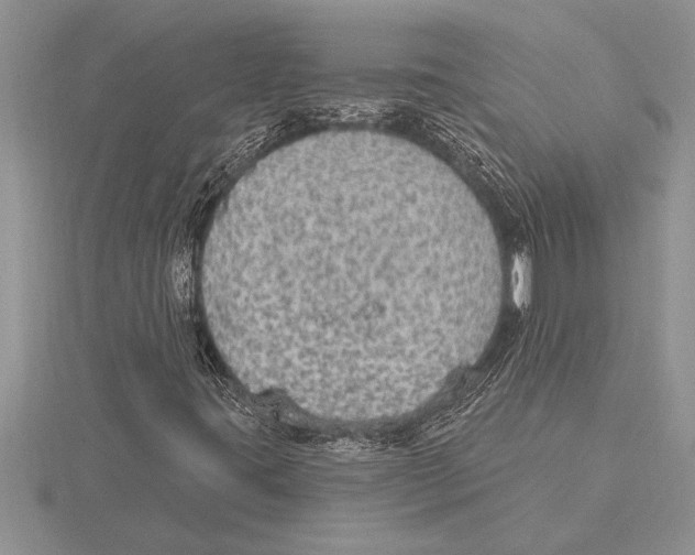 X0000115611395200912080953