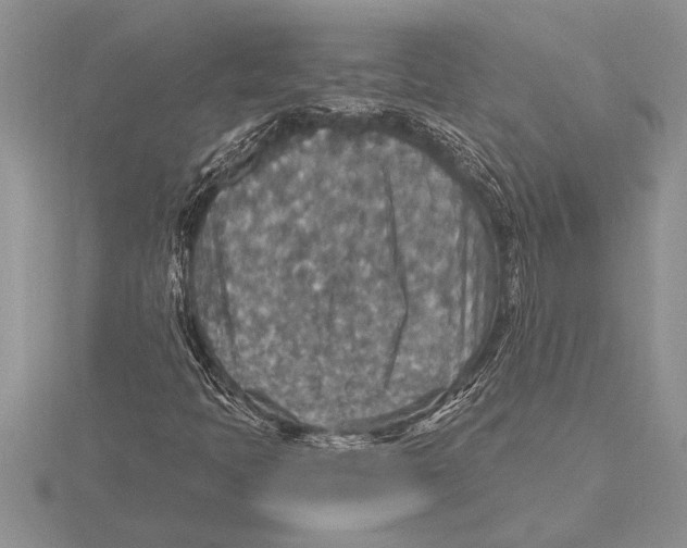 X0000115611397200912080953