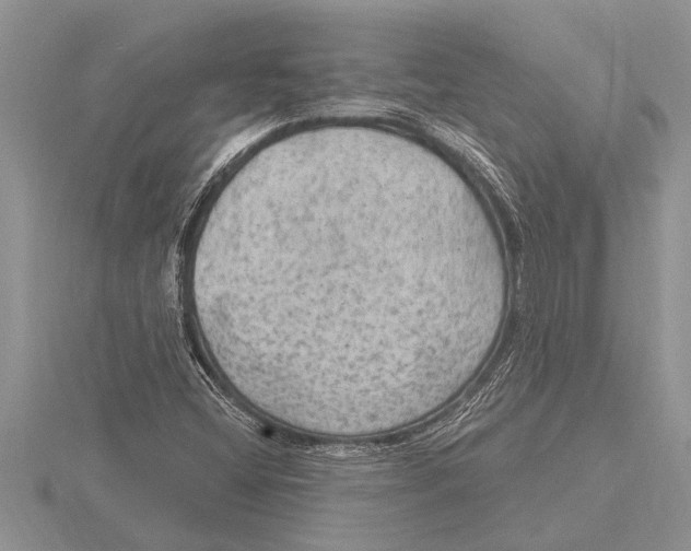 X0000115611404200912080953