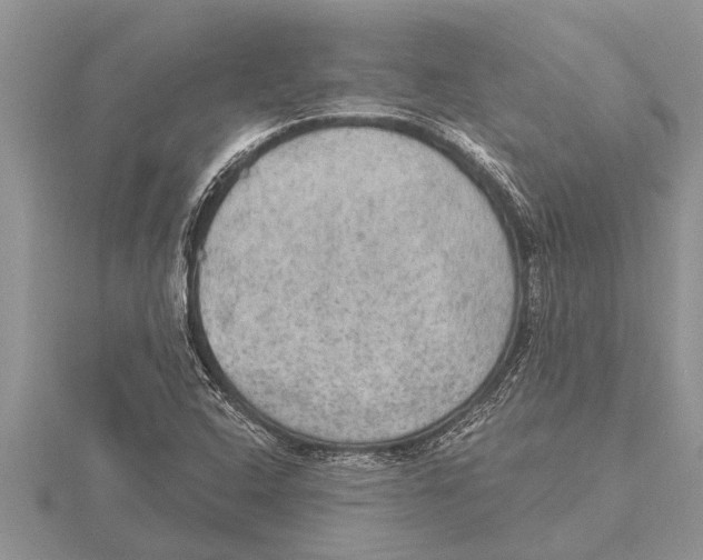 X0000115611408200912080953