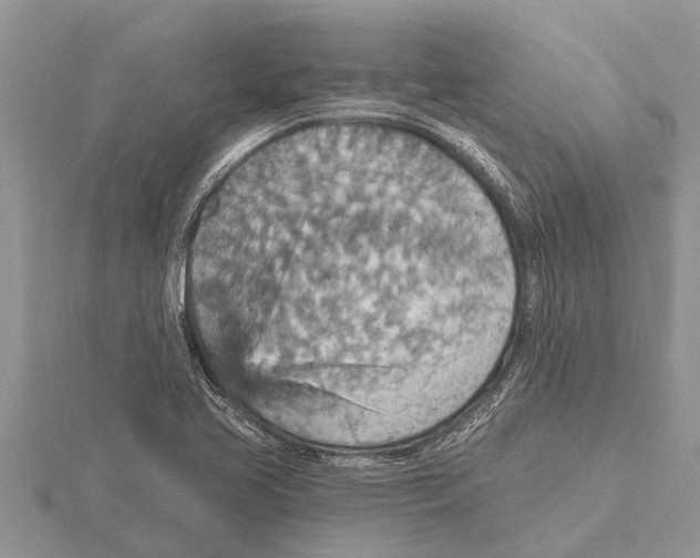 X0000115611413200912080953