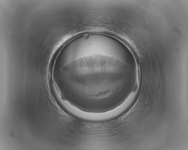 X0000115611414200912080953