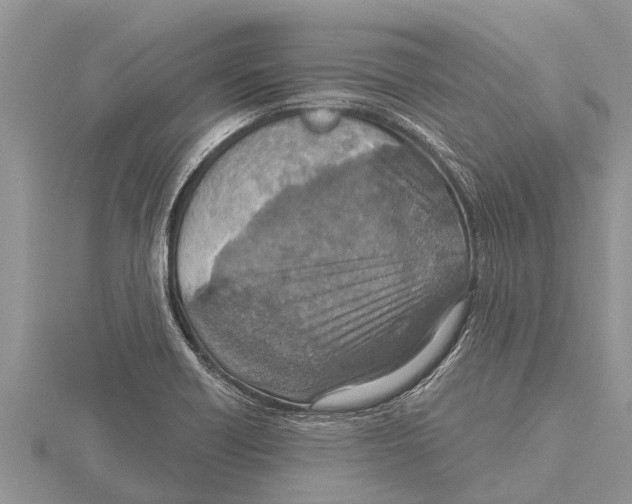 X0000115611418200912080953
