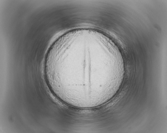 X0000115611421200912080953