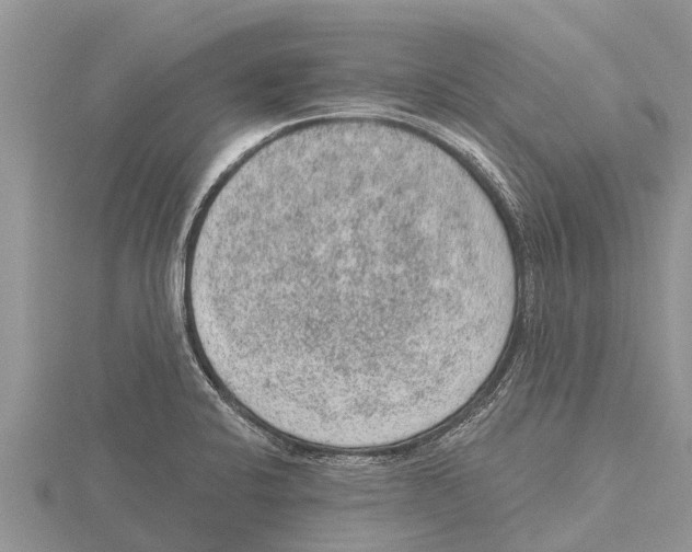 X0000115611424200912080953