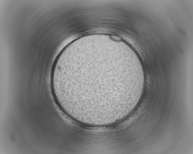 X0000115611426200912080953