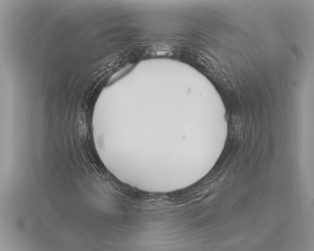 X0000115611442200912080953