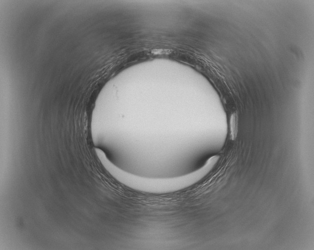 X0000115611443200912080952