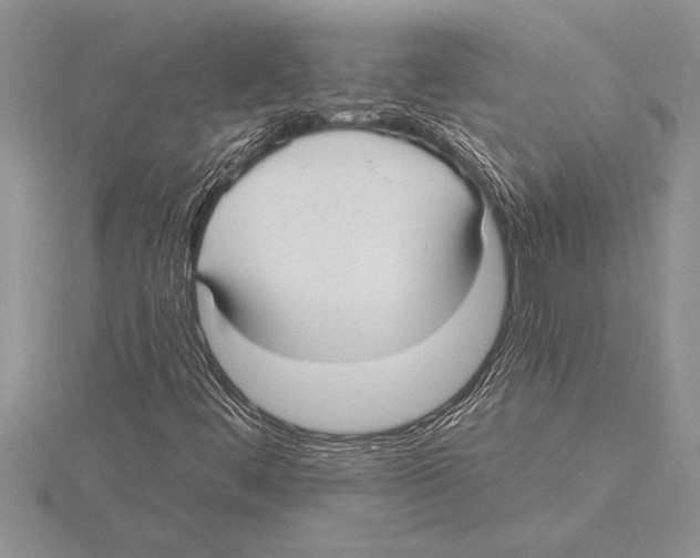 X0000115611444200912080952