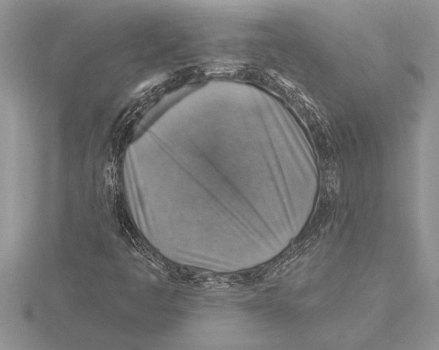 X0000115611445200912080952