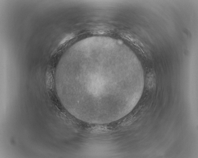 X0000115611446200912080952