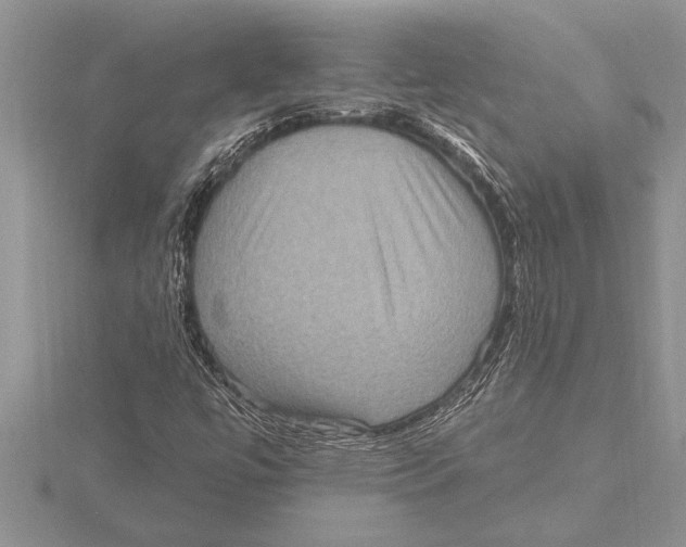 X0000115611447200912080952