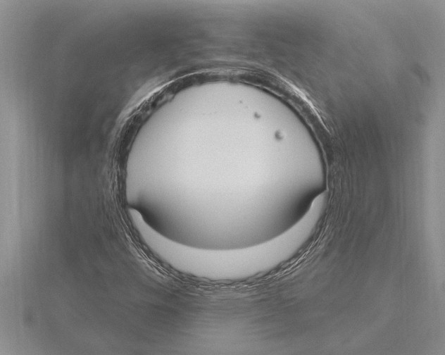 X0000115611448200912080952