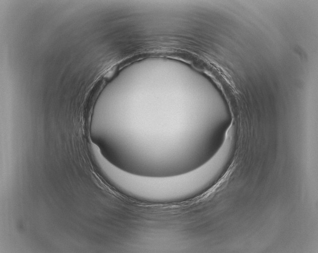 X0000115611449200912080952