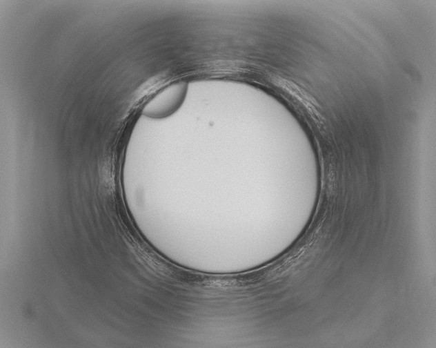 X0000115611451200912080952