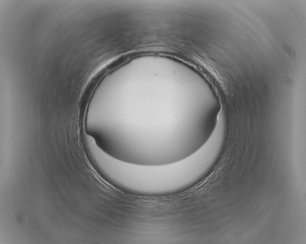 X0000115611452200912080952