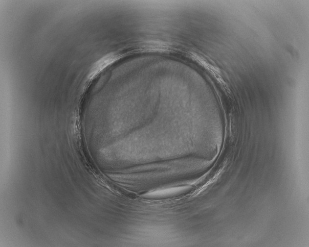 X0000115611453200912080952