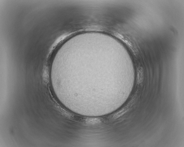 X0000115611454200912080952