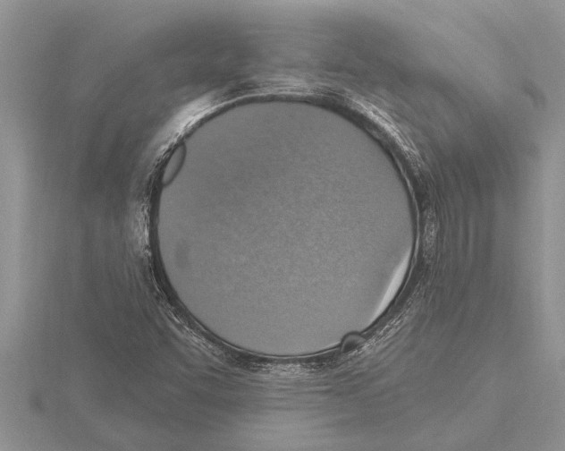 X0000115611455200912080952