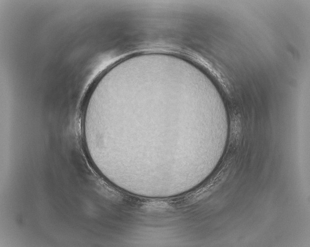 X0000115611462200912080952