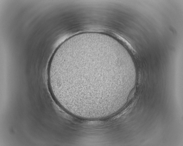 X0000115611471200912080952