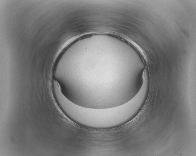 X0000115611477200912080952